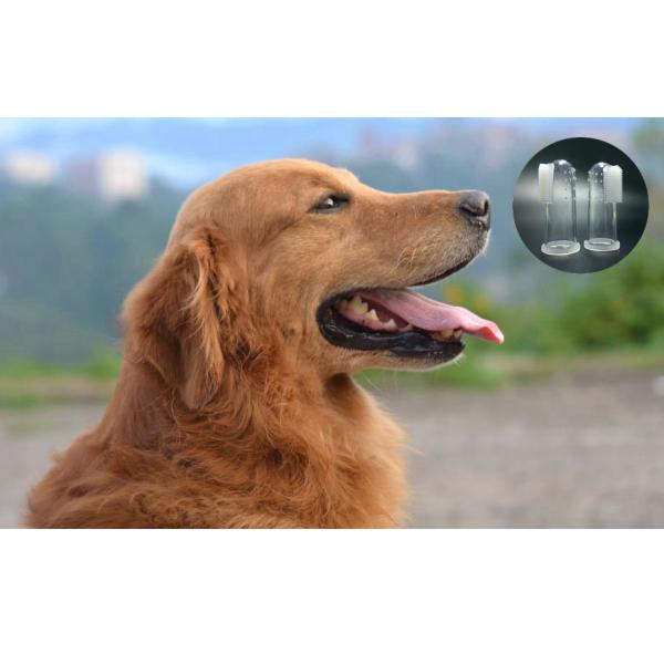Cool Gum Massager Puppy Finger Toothbrush / Pet Finger Brush Silicone Material