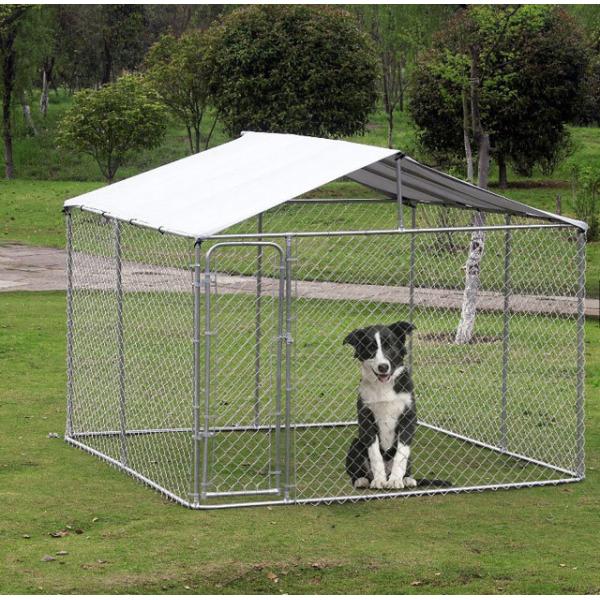 outdoor dog kennels 6'x10'x10'