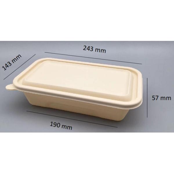 Natural Color Compostable Lunch Containers Leak Proof 1000ML