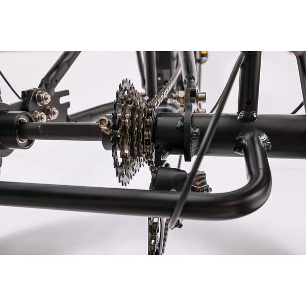 High Capacity Family Cargo Bike with Torque 80-90 Nm and Rear Carrier Battery Position