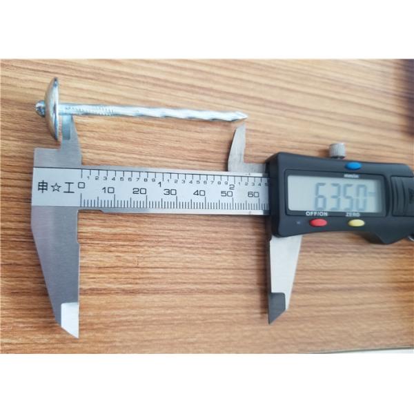 коробка 25kg гальванизировала переплетенные ногти толя зонтика