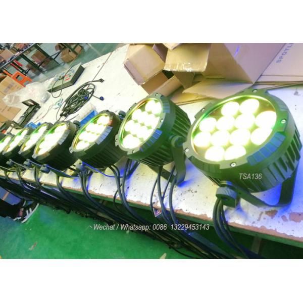 IP65 4 /5/6 in one Outdoor Waterproof Led Flat Par Lamps 12 Leds Outdoor Use TSA136