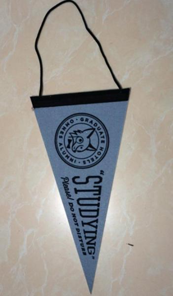 Polyester Felt Hanging Banner Decor Non Toxic Wall Decorations