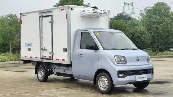 Small Freezer Refrigerated Truck With Cargo Box Equipped With Side Door and Refrigerator Truck Body Horsepower 150hp