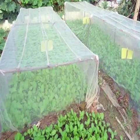 Plastic Garden Netting For Plant Vegetables And Fruits 