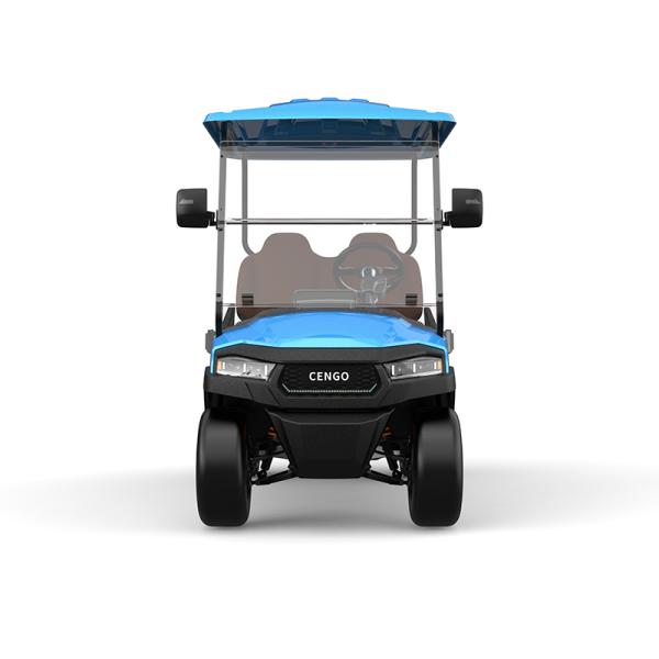 Affordable 2 Seat Electric Golf Buggy Perfect for Family and Hunting on the Beach