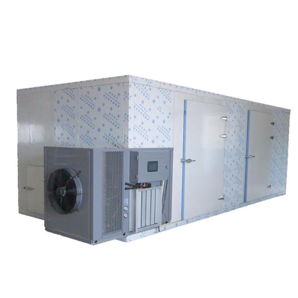 Heat Pump Banana Chips Fruit Cabinet Dryer OEM SS304 Food Fruit Dehydrator