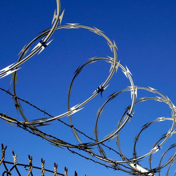 Attractive Price New Type  304 stainless steel blade thorn rope village school anti climb burglar mesh fence wire barbed wire fe