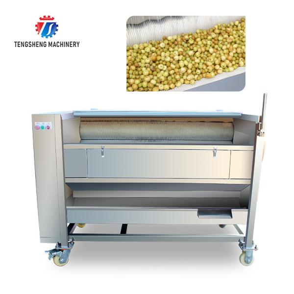 Máquina de casca da batata da máquina da limpeza de escova da limpeza de escova da cenoura de 250KG 380V e da máquina de casca
