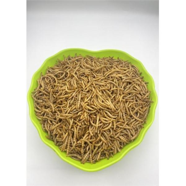 Freeze-Dried Mealworms Insects for Pet Feeding Dry and Cool Place Storage