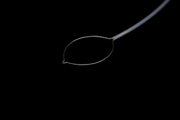 Produtos esterilizados aprovação do equipamento médico do instrumento da cilada de Polypectomy do CE