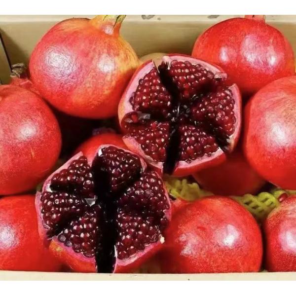 Professional Fruit Agriculture Seaweed Organic Fertilizer Seaweed Extract For Plants