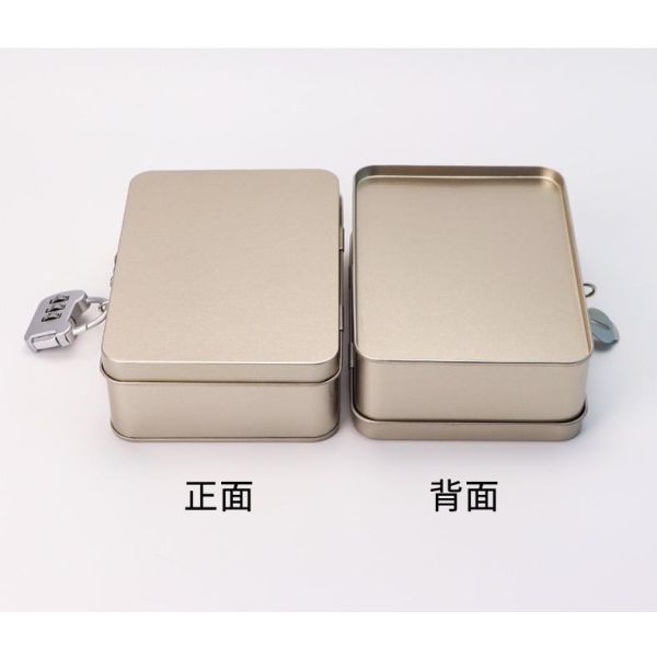 Rectangular Tinplate Box Toy & Cosmetic Storage Metal Box Flip Top Blind Box Metal Can