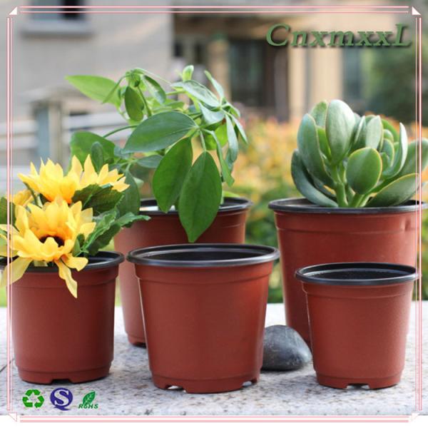 Flor plásticos potenciômetros de 1 do galão de pouco peso 18.5cm para a plântula do alho poró