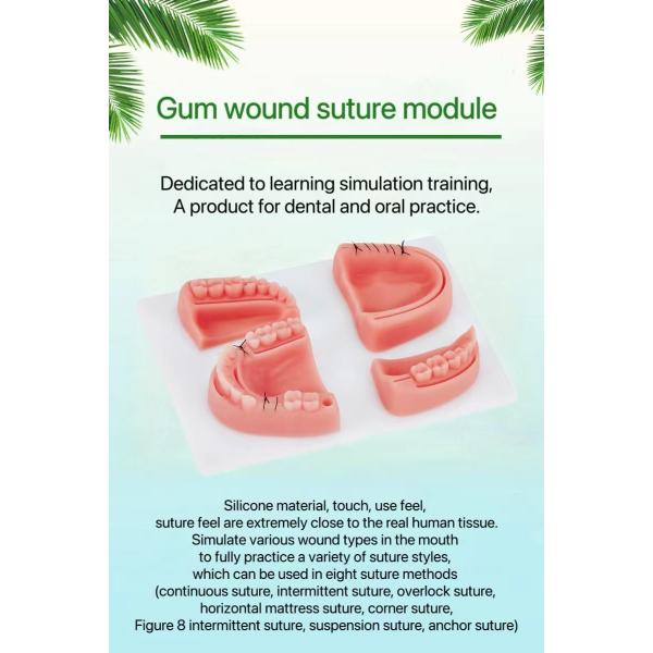 Реалистичный пероральный прикосновение раны Швы практический прокладка для стоматологического образования