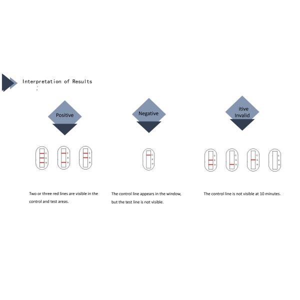Novel Coronavirus(2019-nCo V)IgM/lgG Antibody Diagnostic Kit (Blood Sample) (Colloidal Gold)