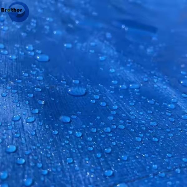 10x10 Tarp PE Heavy Duty Poly Tarps 20 Mil