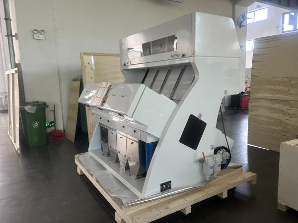 Powerful 256 Channels Wheat Colour Sorter
