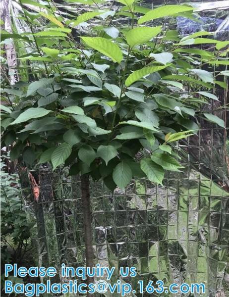 Silver Reflective Mylar Film Garden Greenhouse Covering Foil Sheets Highly Reflective, Effectively Increase Plants Grow