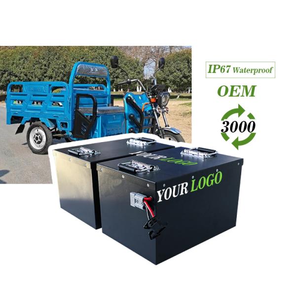 CTS Customized Electric Tricycle Lithium Battery 48V 72V 105Ah 200Ah Electric Three Wheeler Lifepo4 Batteries with Long Cyclelife