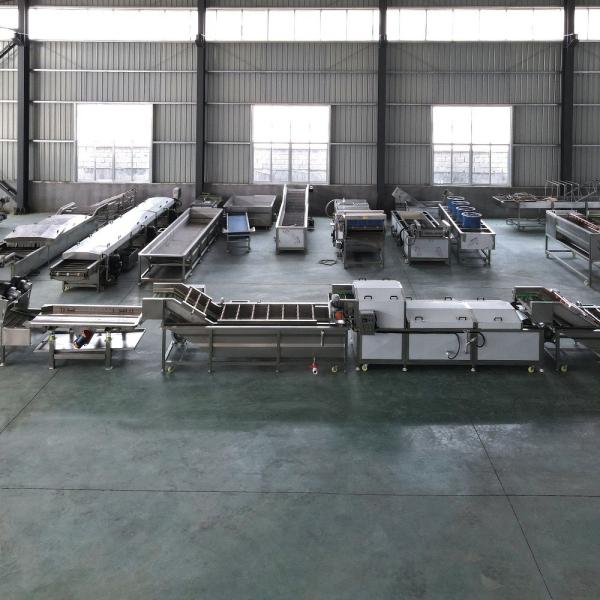 Customize Fully Automatic Fruit Vegetable Cleaning and Drying Line Voltage 110V-380V