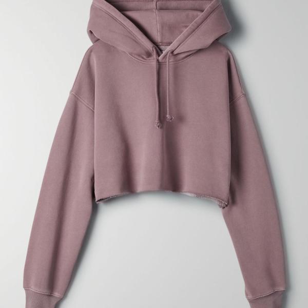 Подрезанный равниной свитер прыгуна женщин Терри с капюшоном фуфаек французский