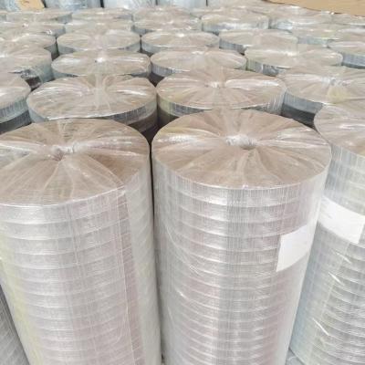 Protective Net Smooth Surfacestainless Steel Welded Wire Mesh Rolls BWG21 For Bird Cages