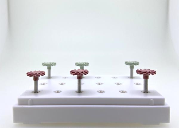 OEM Diamond Grinding Points 2.0mm Thick Diamond Polishing Kit T Shape 15000 rpm