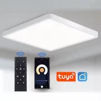 Remote Control CCT LED Ceiling Light Square Smart LED Panel Lamp For Living Room