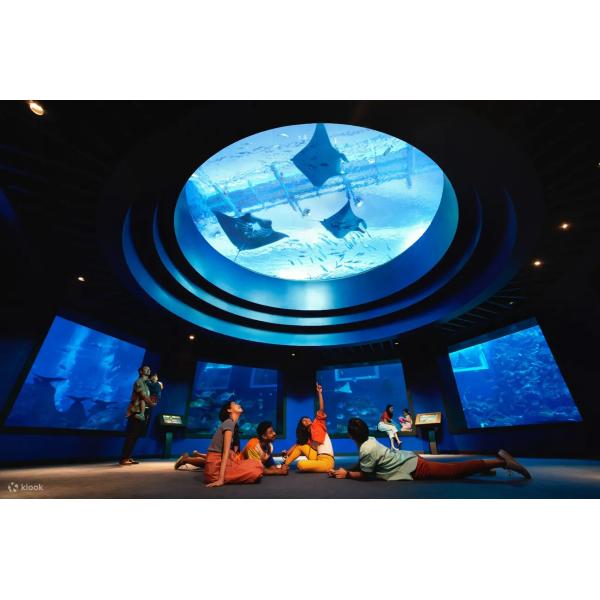 Diversas formas Fibra de vidrio sobre el suelo Piscina acrílica con procesamiento de moldeo