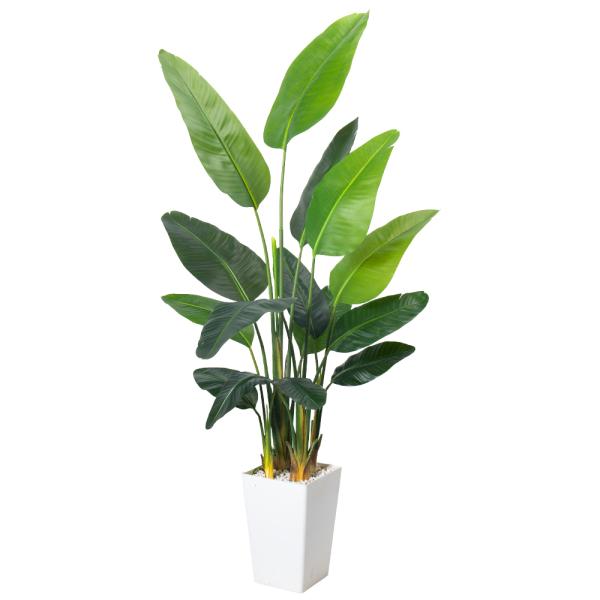 Artificial Bird of Paradise Plant 6.8FT - Luxury Faux Palm Tree in White Planter for Indoor Office Decor