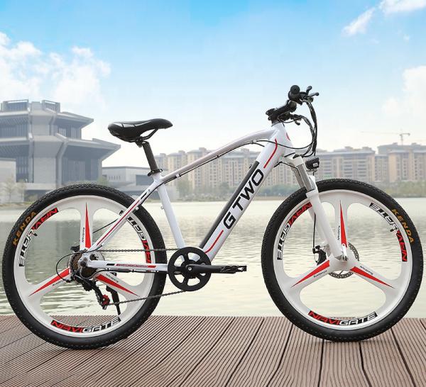 Magnesium Alloy Hidden Battery Electric Bicycle 48V 250W 350W 26 / 27.5 Inch Hub Motor