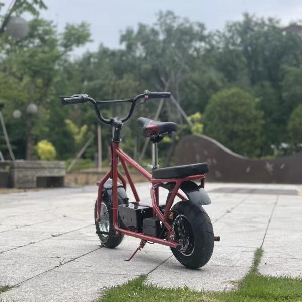 Elevate Your 10-Year-Old's Cycling Experience with this 24V8AH Battery Mountain Bike