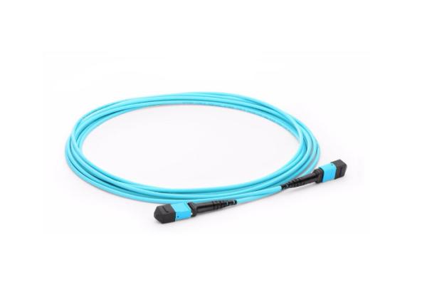 MPO Female - MPO Female 24C Premium Quality Fiber Optic Patch Cord for Data Center