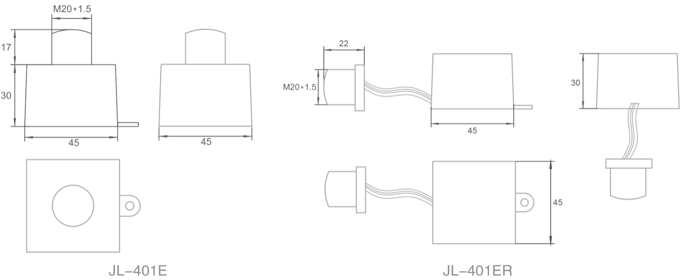 Wide Voltage Direct Wire In Electronic Photocontrol Garden Lighting Security & Perimeter Lighting