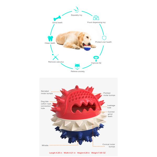 Personalized Flexible Dog Molar Bite Toy For Cleaning Pet Teeth