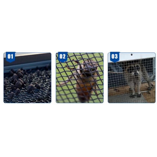 La pared de cortina decorativa acanaló la malla de alambre tejida prensada metal