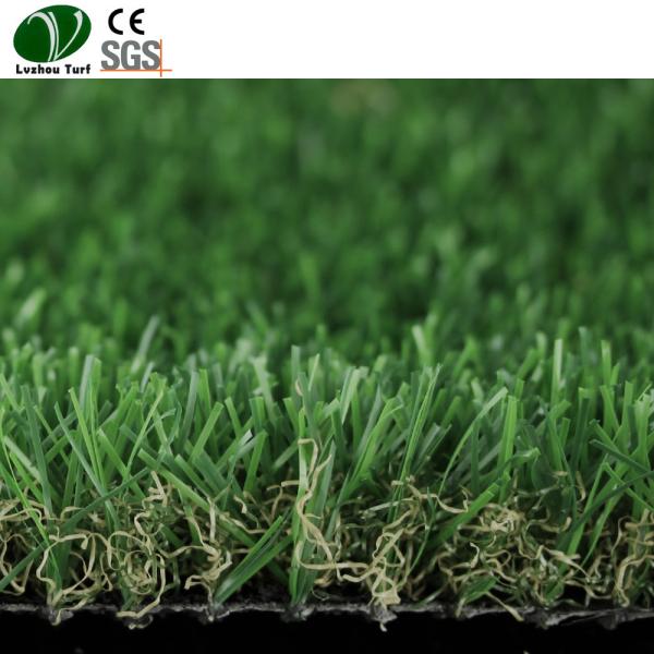 Brush Machine Forever Green Grass Actual Looking 9000Ddtex Or Customizable