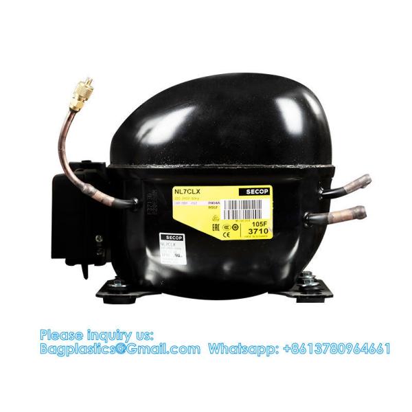 CE Approved 4 Rooms Dead Body Refrigerator Mortuary Body Mortuary Chamber Manufacture