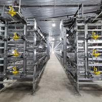 3-9 étages Ferme à batterie Cage de poulet avec système automatique à haute densité