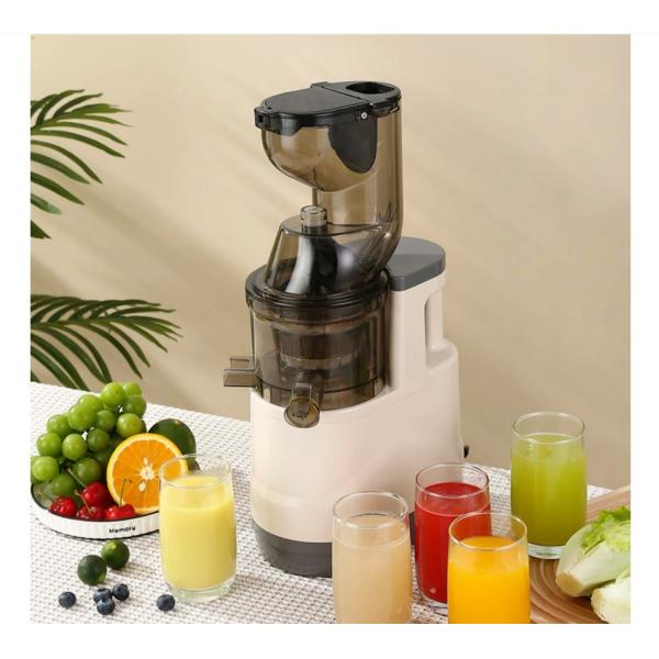 Electric Blender Fruit Extractor Machine Red 500W Cold Press Professional Slow Juicer