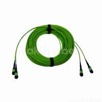 24 pertes optiques du câble 0.35db de fibre des noyaux Om5 Mpo Mtp basses pour la mise en réseau à grande vitesse
