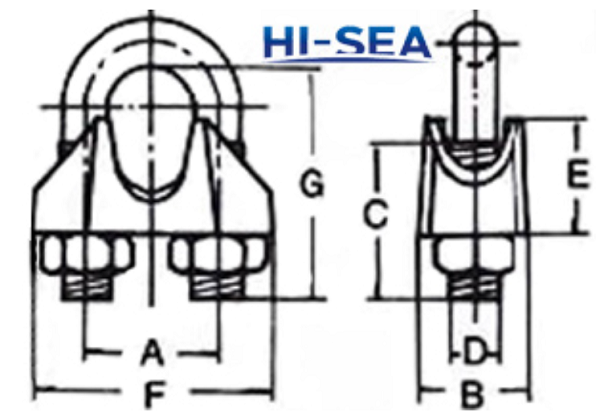 DIN1142 Wire Rope Clip Metal Wire Cable Clamps Carbon Steel Zinc Plated