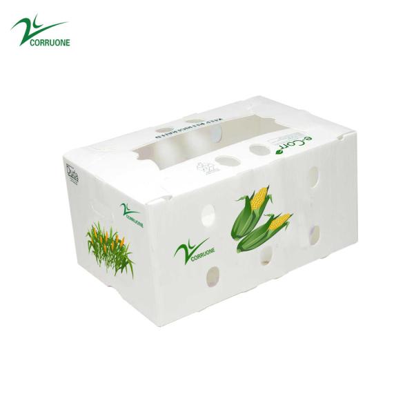 1.5mm-30mm PP Corrugated Plastic Packaging Boxes White Green Blue
