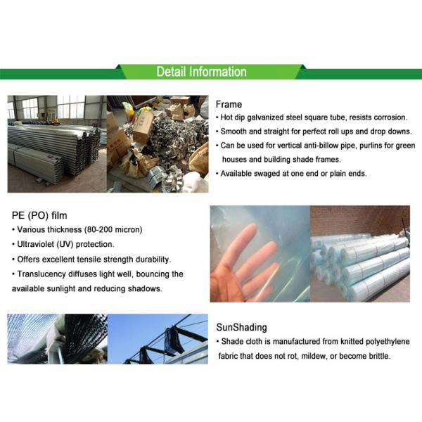 PC Sheet Cover Material Multi-Span Agricultural Greenhouse for Vegetable Growing