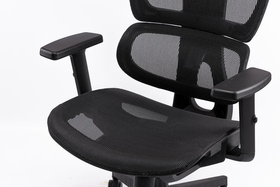Ergonomic Office Executive Chair with Adjustable Lumbar Support Breathable Mesh Back and Comfortable Seat for Long Hours