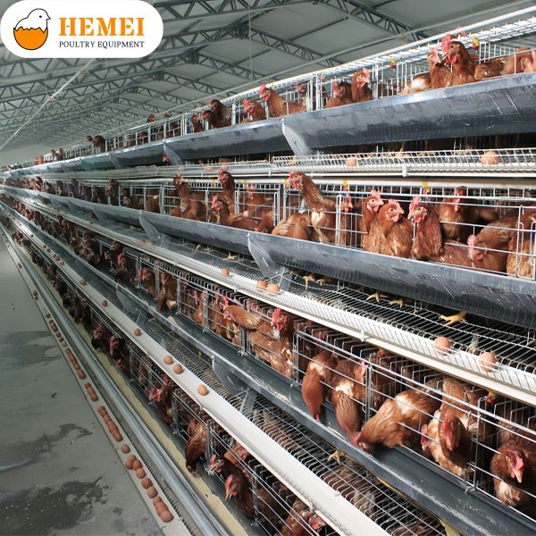 “A” Type Layer Cage