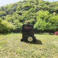Ouvre-porte coulissante automatique en alliage d'aluminium 800 kg avec poutre de sécurité et relâchement manuel