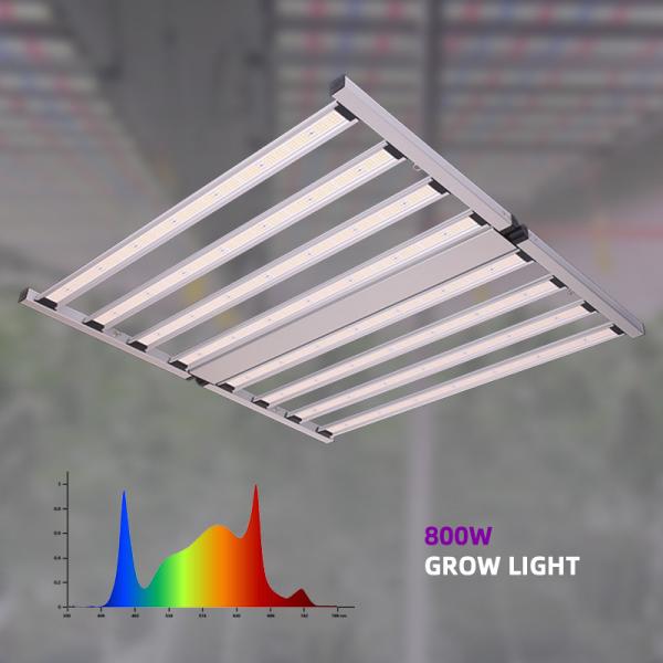 ANDY Full Spectrum LED Plant Grow Light 4x4ft 800W SAMSUNG LM301h EVO LM281b Led Grow Light pour les légumes et les fruits