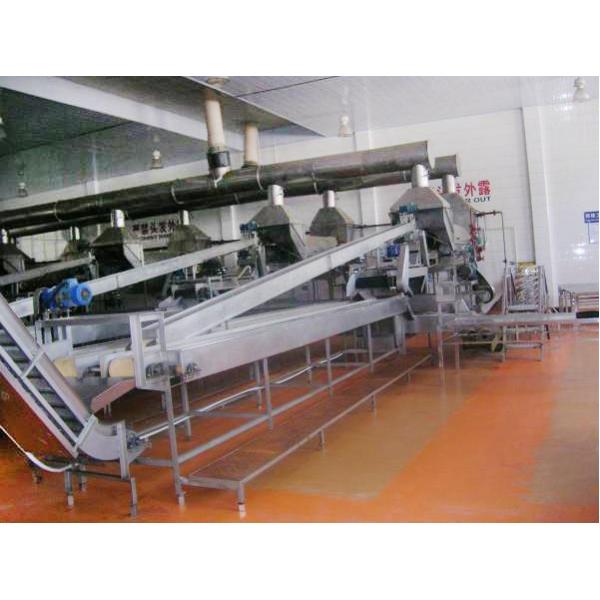 Orange Processing Fruit Canning Equipment High Precision Custom Design